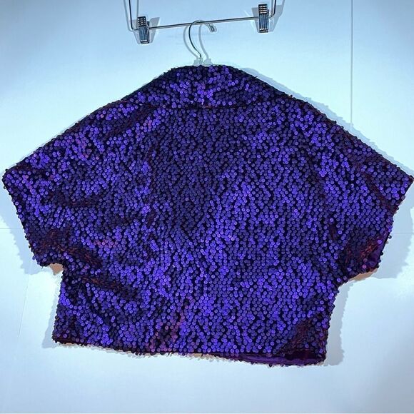 Hilton Hollis Sequin Silk Velvet Blend Jacket size 6 - Picture 4 of 12